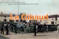 tittre Gibaud
